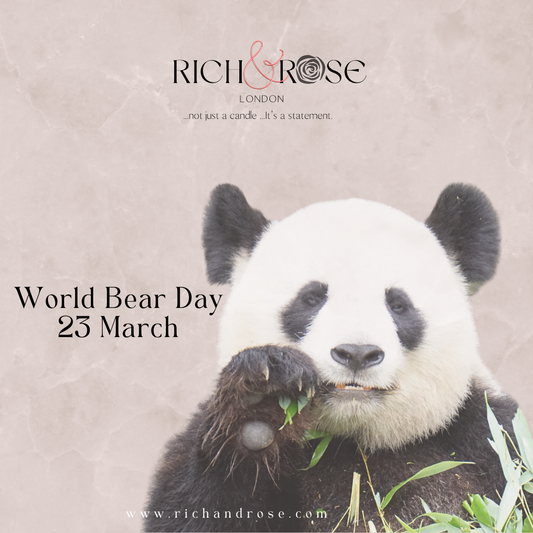 The World Bear Day-23 March