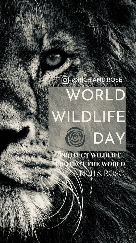 World Wildlife Day!